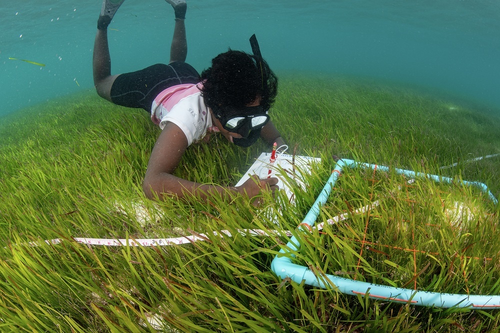 Blue Marine's scientists collect the data needed to hold the global powers accountable